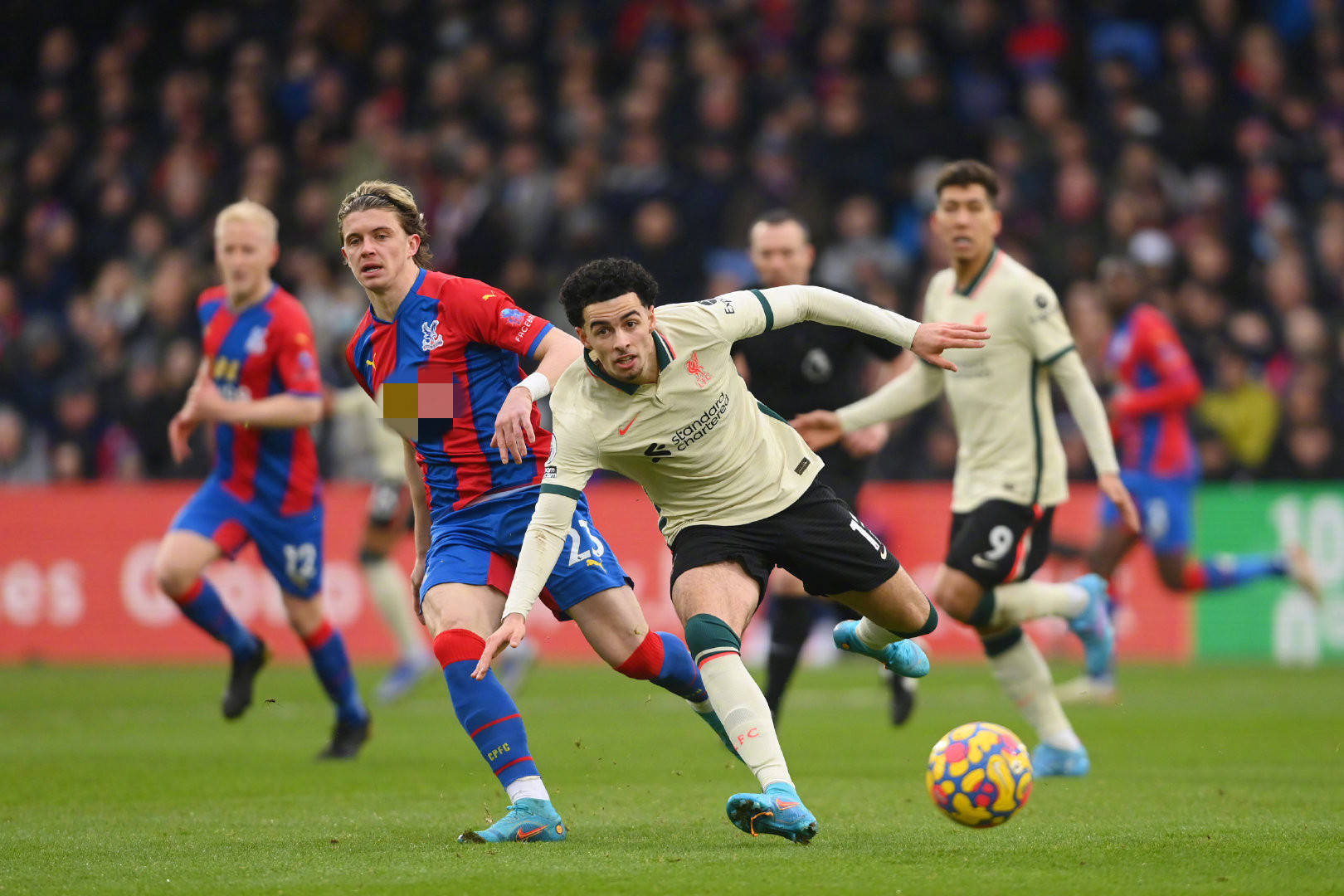 北疆大地在 北疆大地在